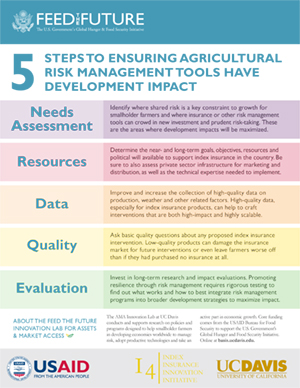 5 Steps to Risk Management Impact