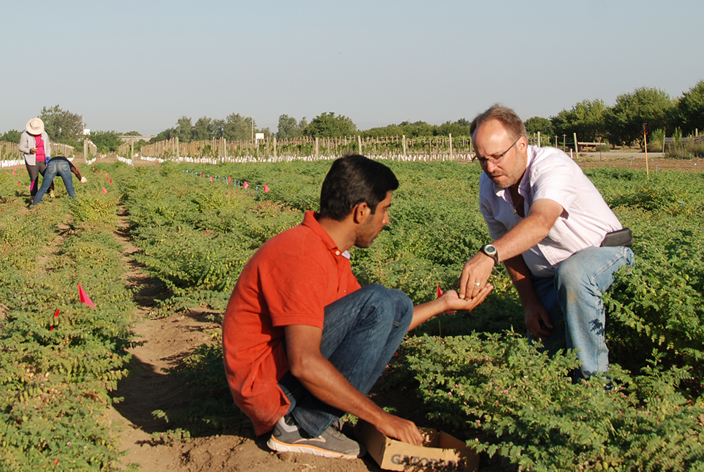 Douglas Cook (right) working in Davis, CA.