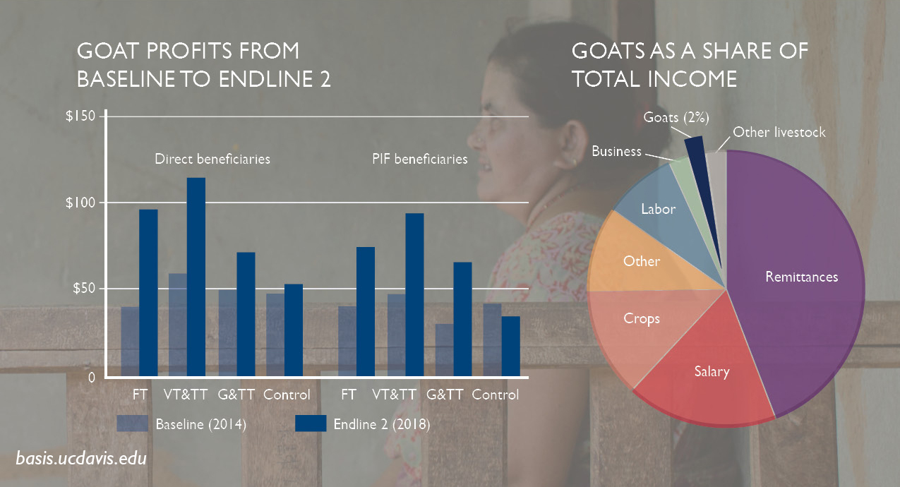 graphs