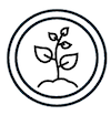 Plant in lens icon