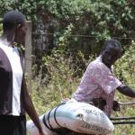 Fertilizer Distribution