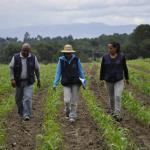 researchers in Mexico