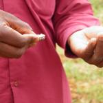 hand and seeds