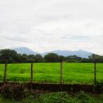 farm in Nicaragua