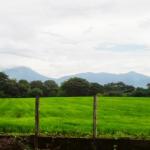 farmland in Nicaragua