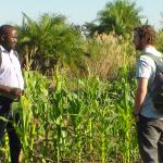 researchers in Malawi