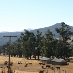 Farm in South Africa