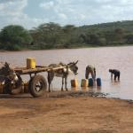 collecting water