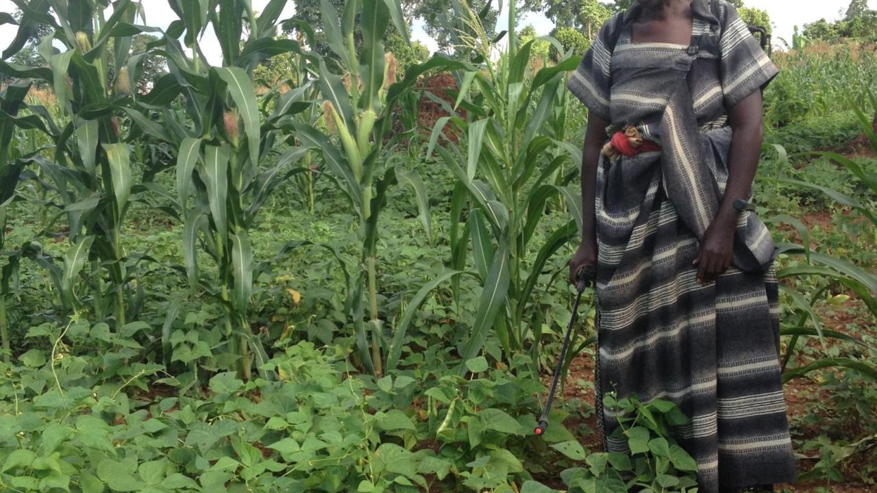 farmer in Uganda