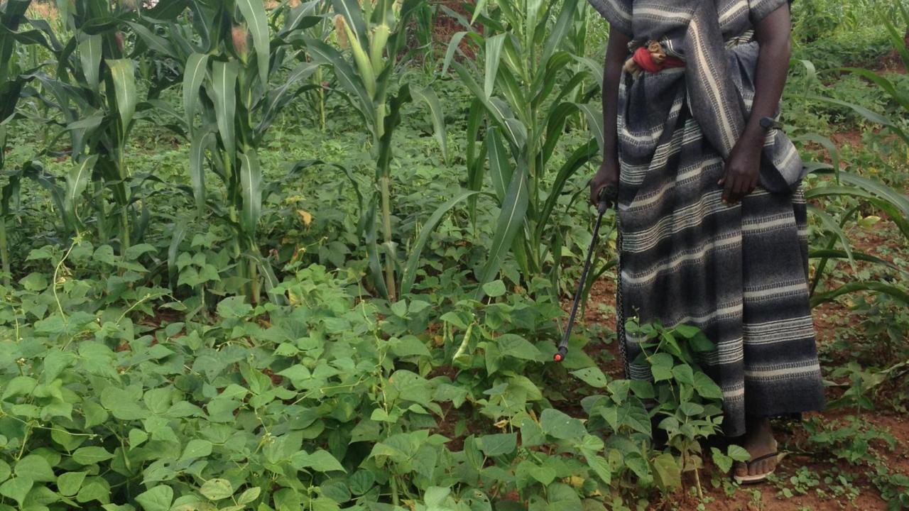 farmer in Uganda