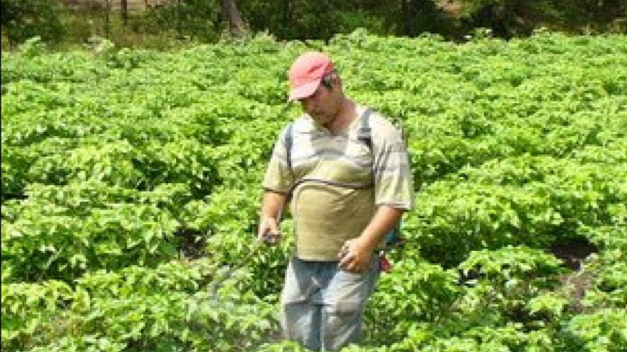 farmer in Nicaragua