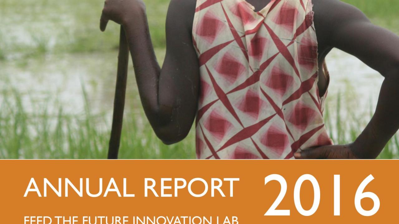 report cover