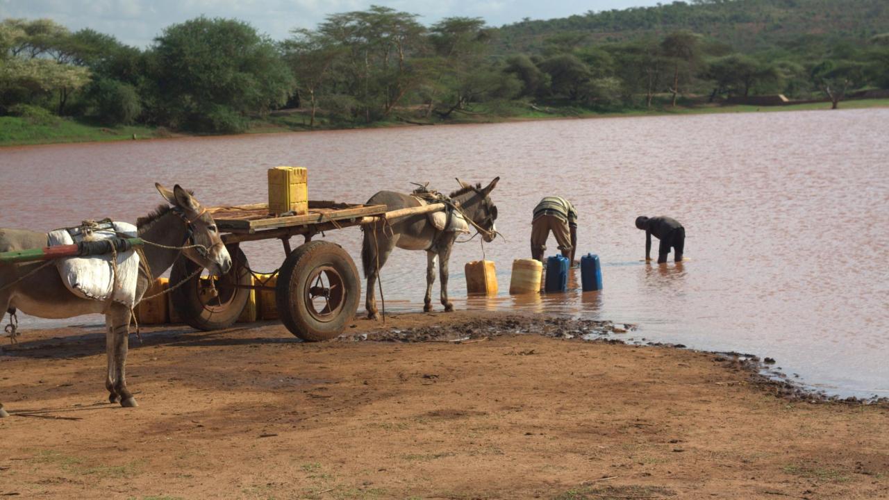 collecting water