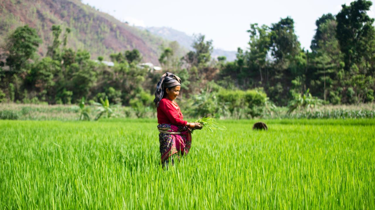 farmer in Nepal