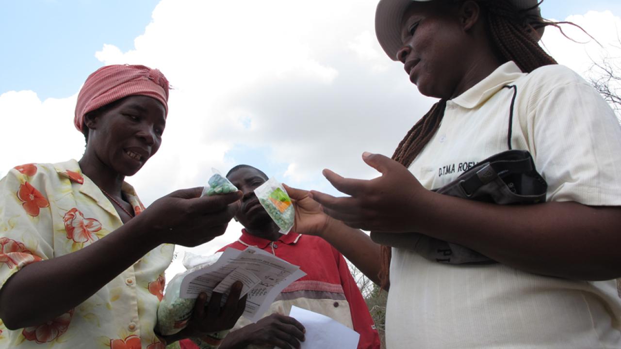 seed distribution in Mozambique