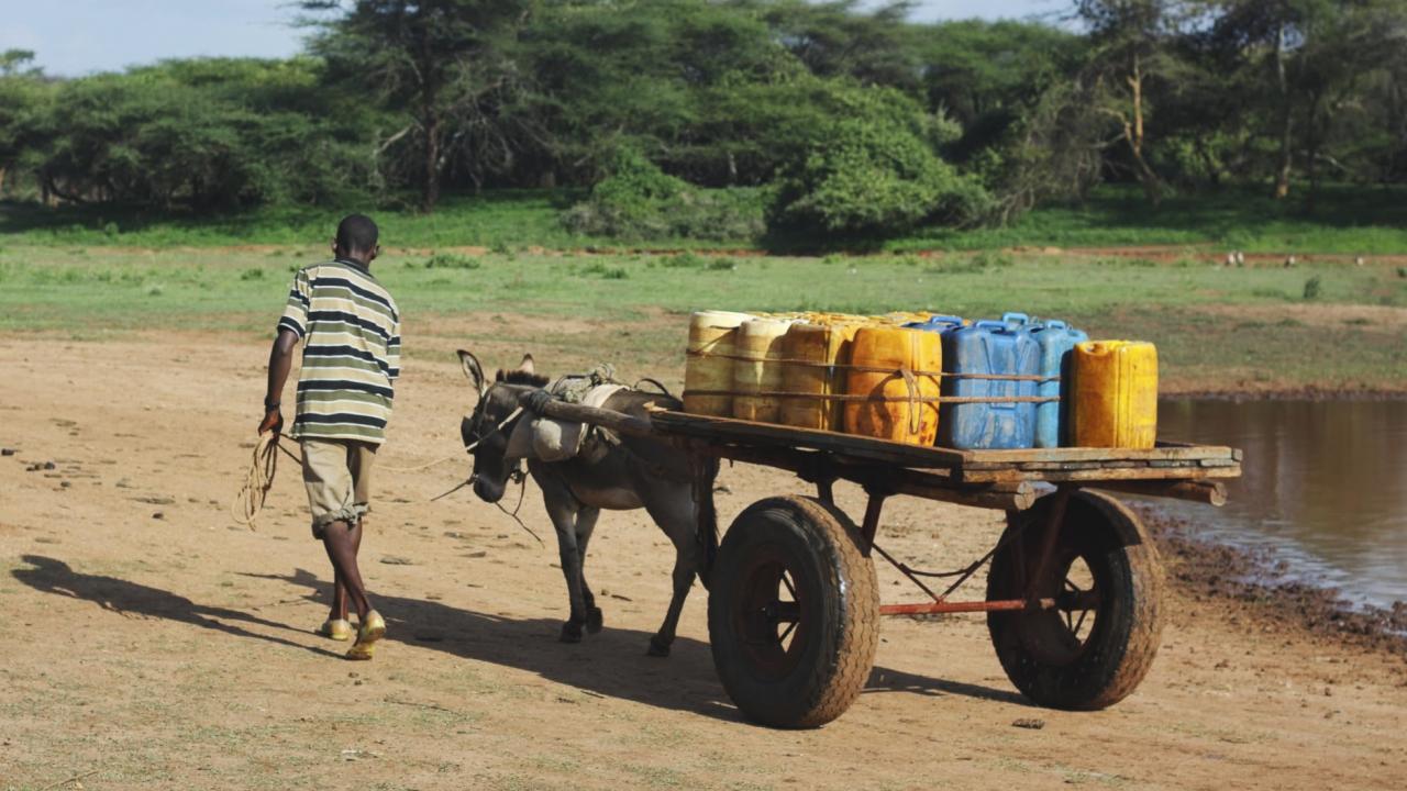 Borana Ethiopia