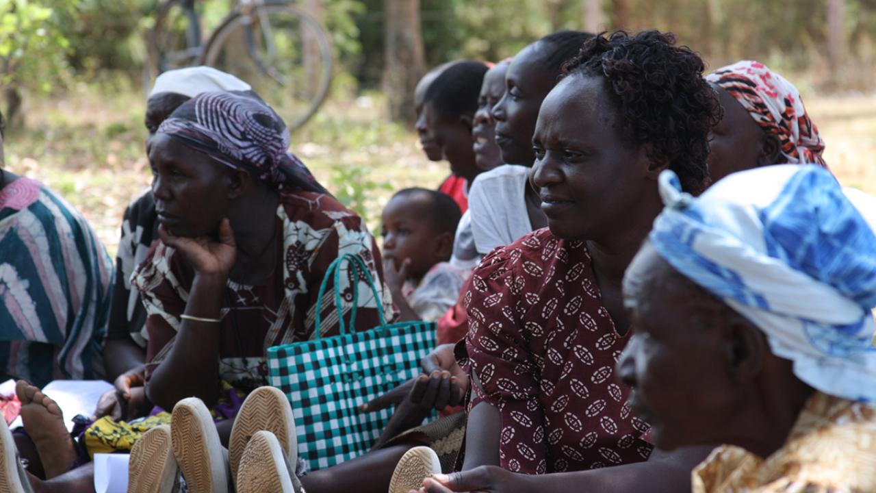 farmers in Kenya