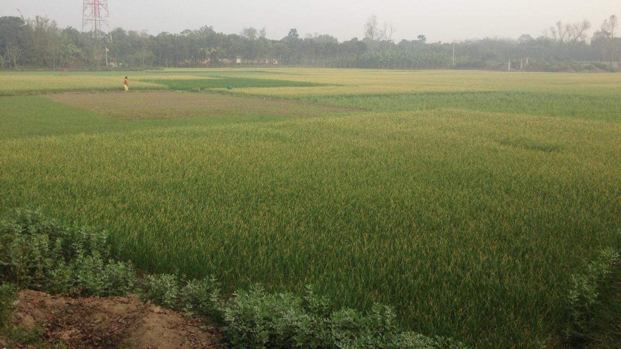 Bangladesh