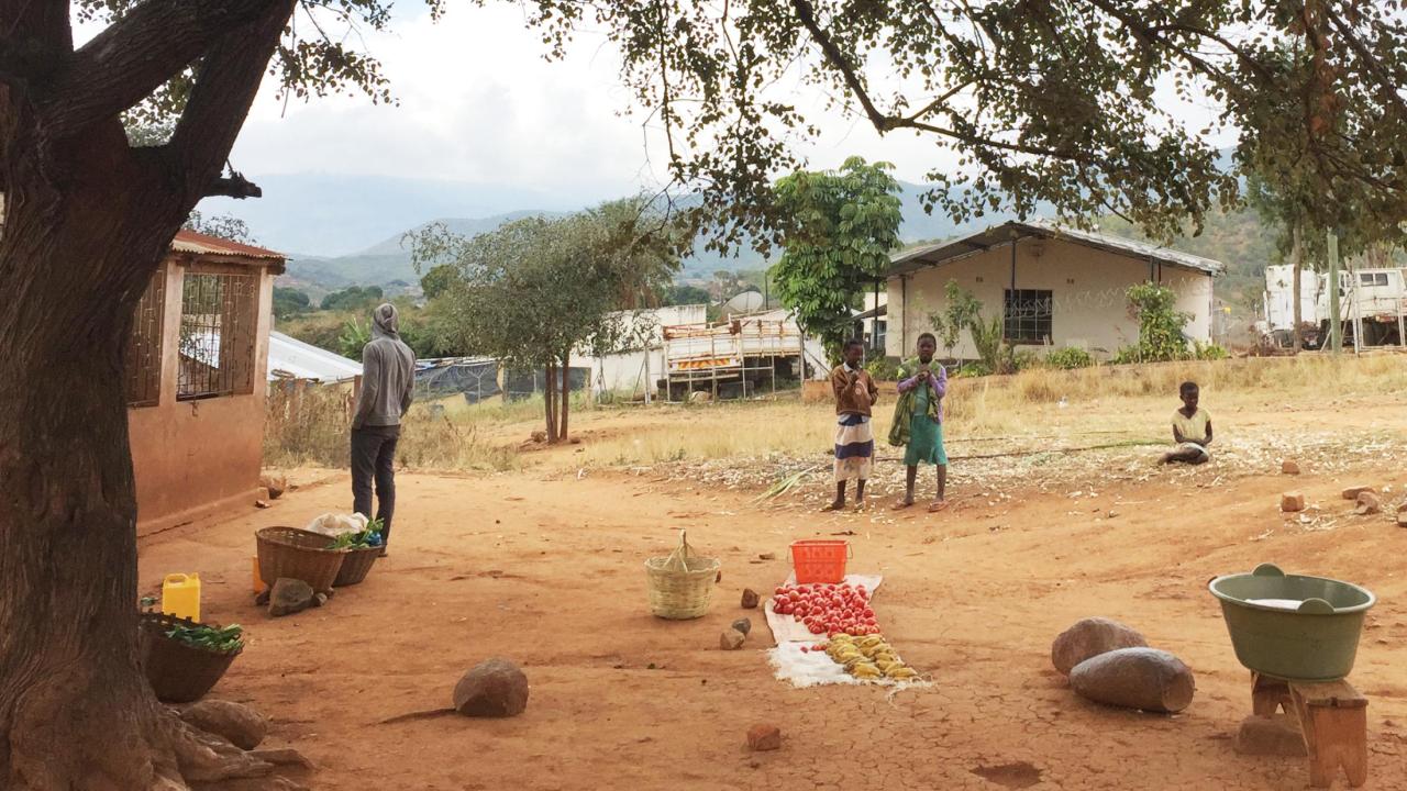 Mozambique resilience