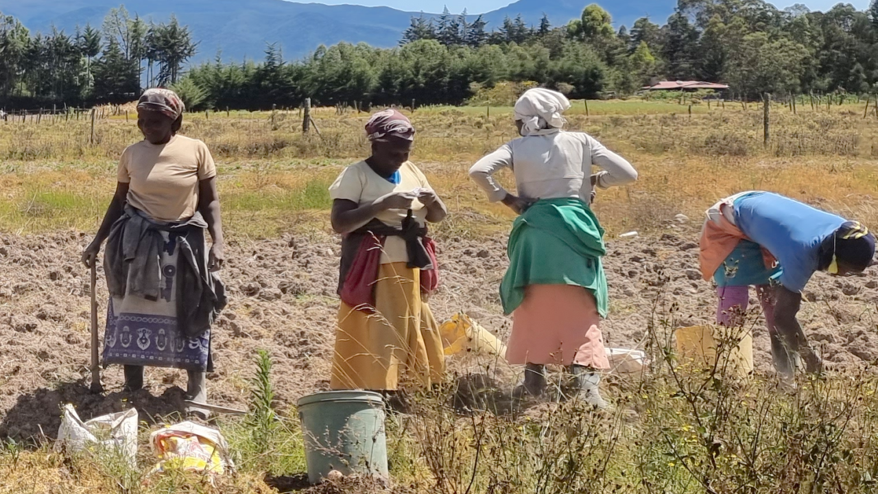 Women farming