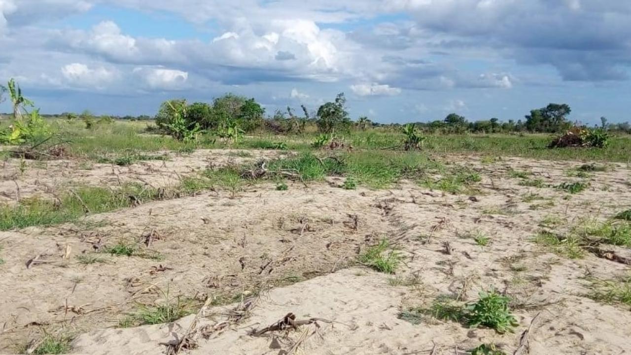 Dry field
