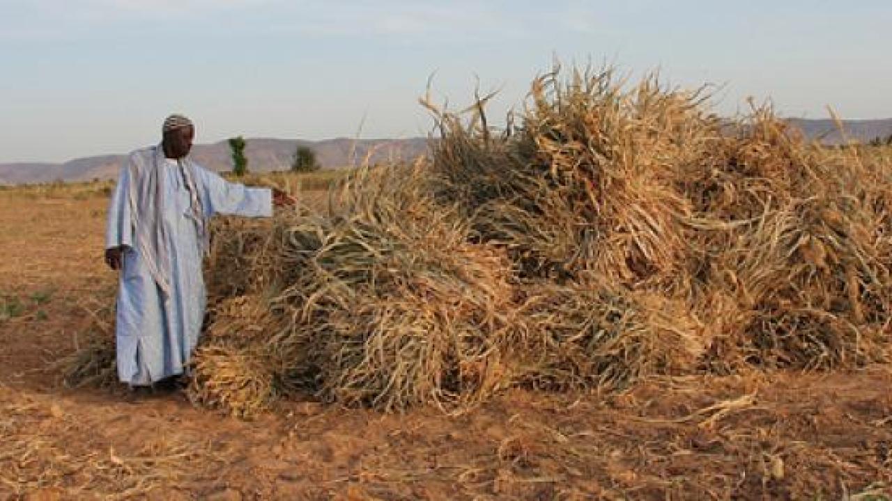 farmer and crop