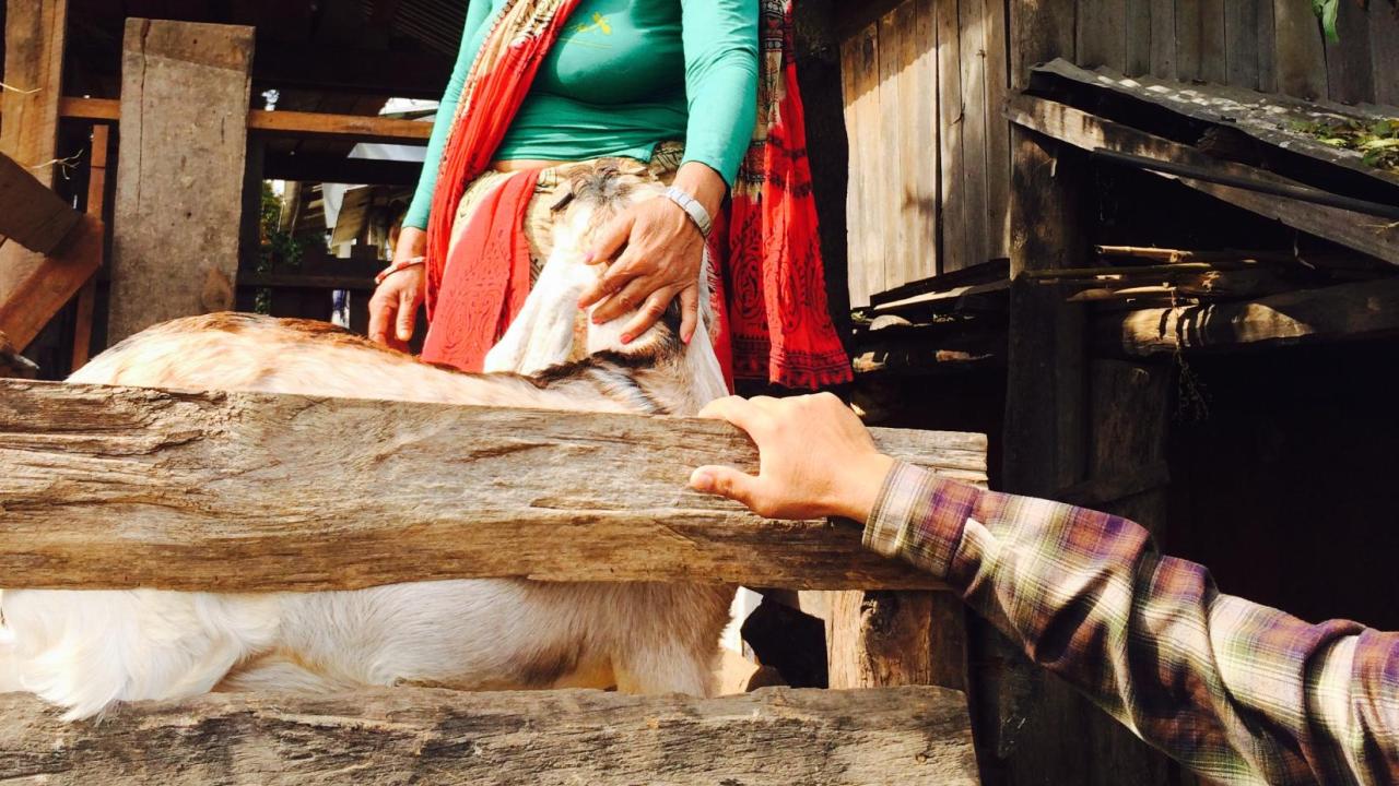 Nepal