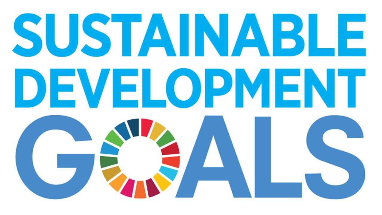 SDG logo