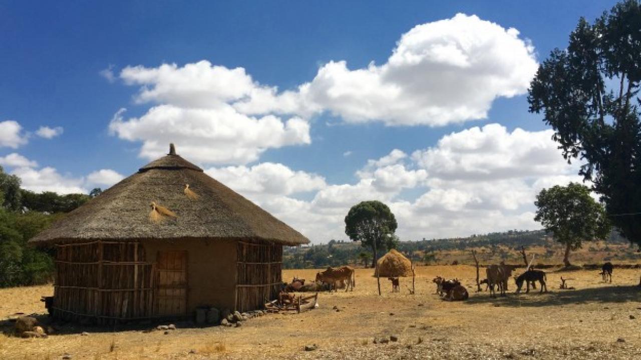 Ethiopia