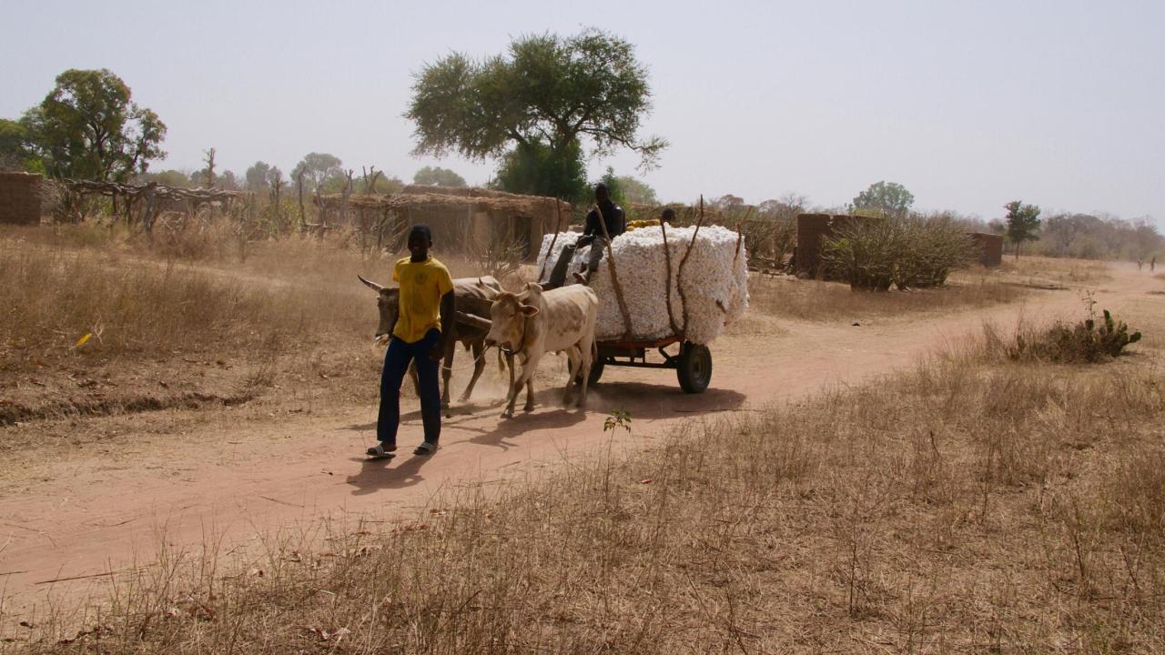 Boy with cart