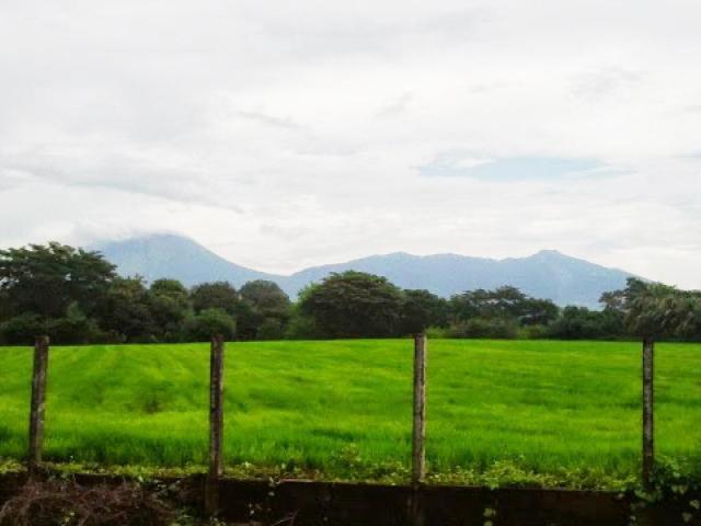 pasture in Nicaragua