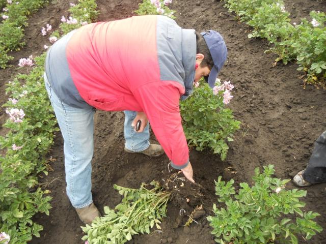 farmer in Ecuador