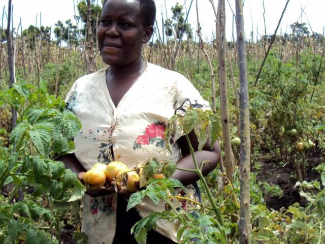 farmer in Bungokho