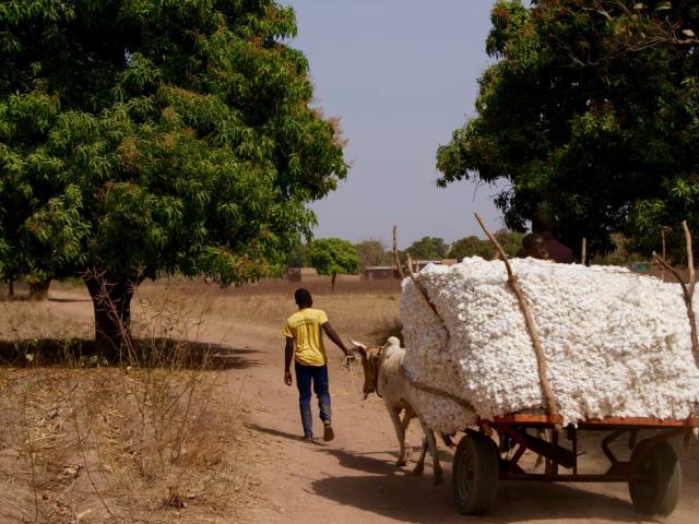 cotton cart