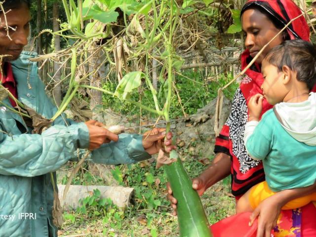 Bangladeshi farmers