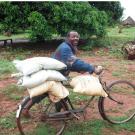 Mozambique farmer