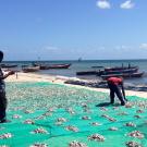 Tanzania fishery