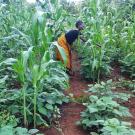 Farmer in Tanzania