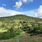 Pasture in Samburu, Kenya in November 2019