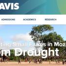 web page image