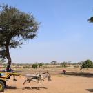 Irrigation project in Senegal