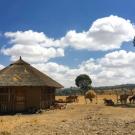 hut in Ethiopia