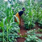 Woman Farming