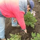 Farm worker