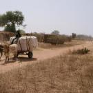 Boy with cart